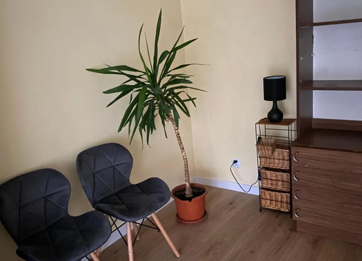 Willa U Moniki Warszawa Kwatera prywatna